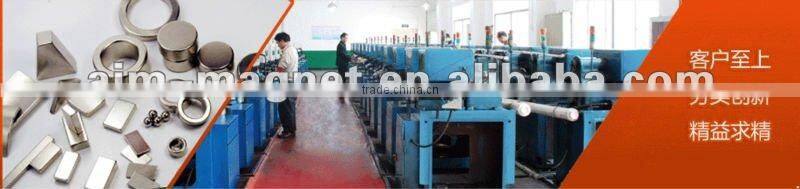 Micro-motor ndfeb magnet Tile