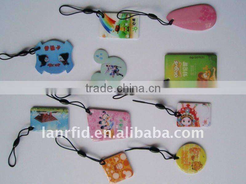 irregular shaped ABS blank coin tag/125khz
