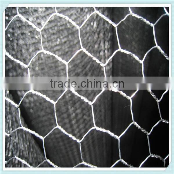 Low carbon gabion wire mesh/Hexagonal wire netting