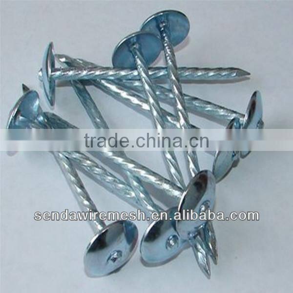 Umbrella head Roofing Nails