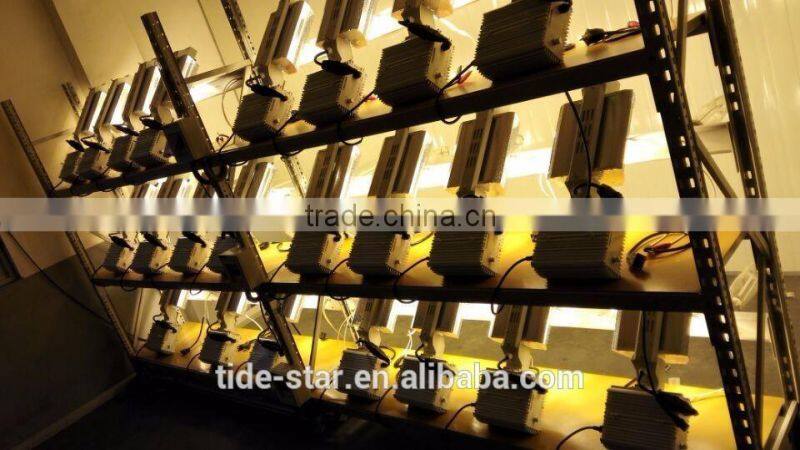 Hot selling 1000w 600w double ended reflector ballast