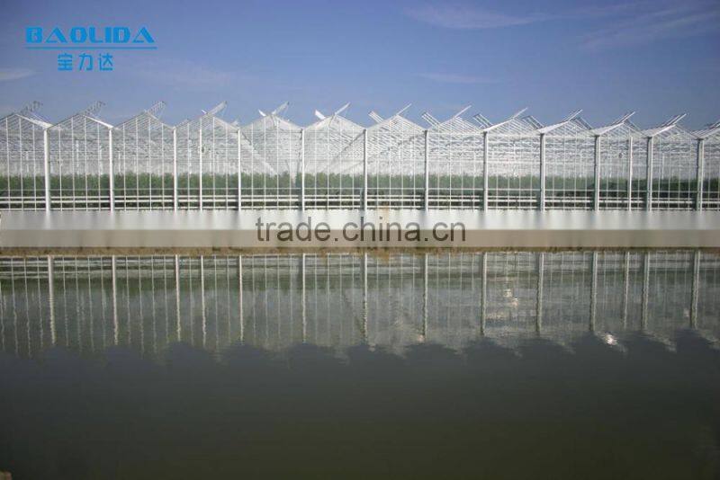Galvanized Steel Pipes Greenhouse Covered BY Tempered Glass For Agriculture /Commercial