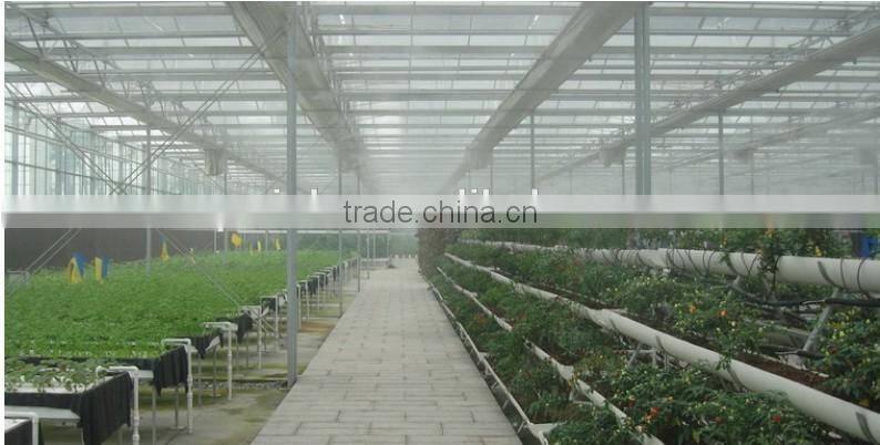China factory greenhouses structure with hydroponic system