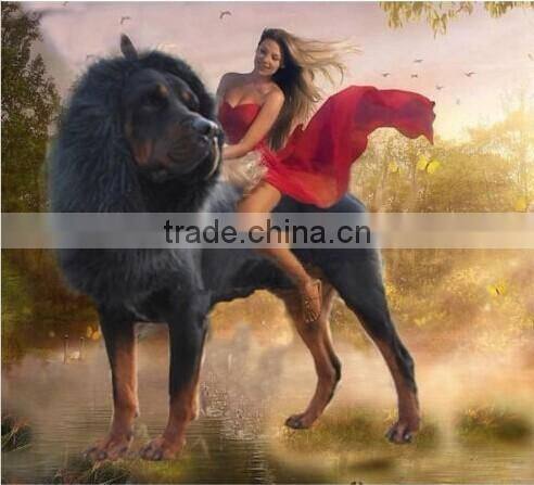 Pet Costume Lion Mane Wig for Dog Cat Halloween Clothes