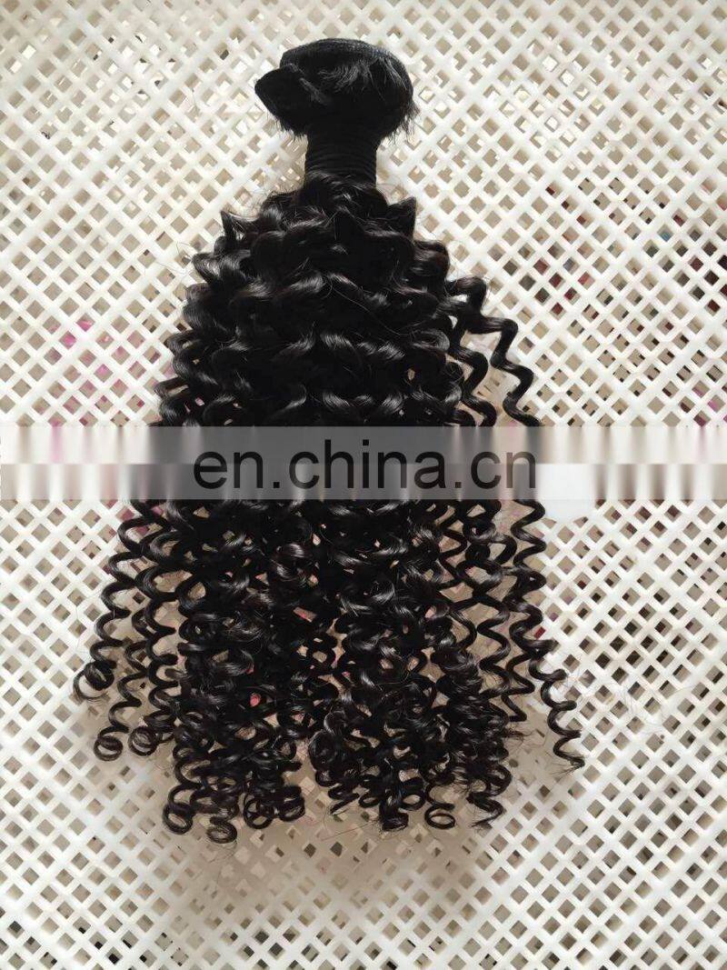 Wholesale fast shipping high quality remy grade 9a virgin kinky curly hair 100% natural indian human hair price list