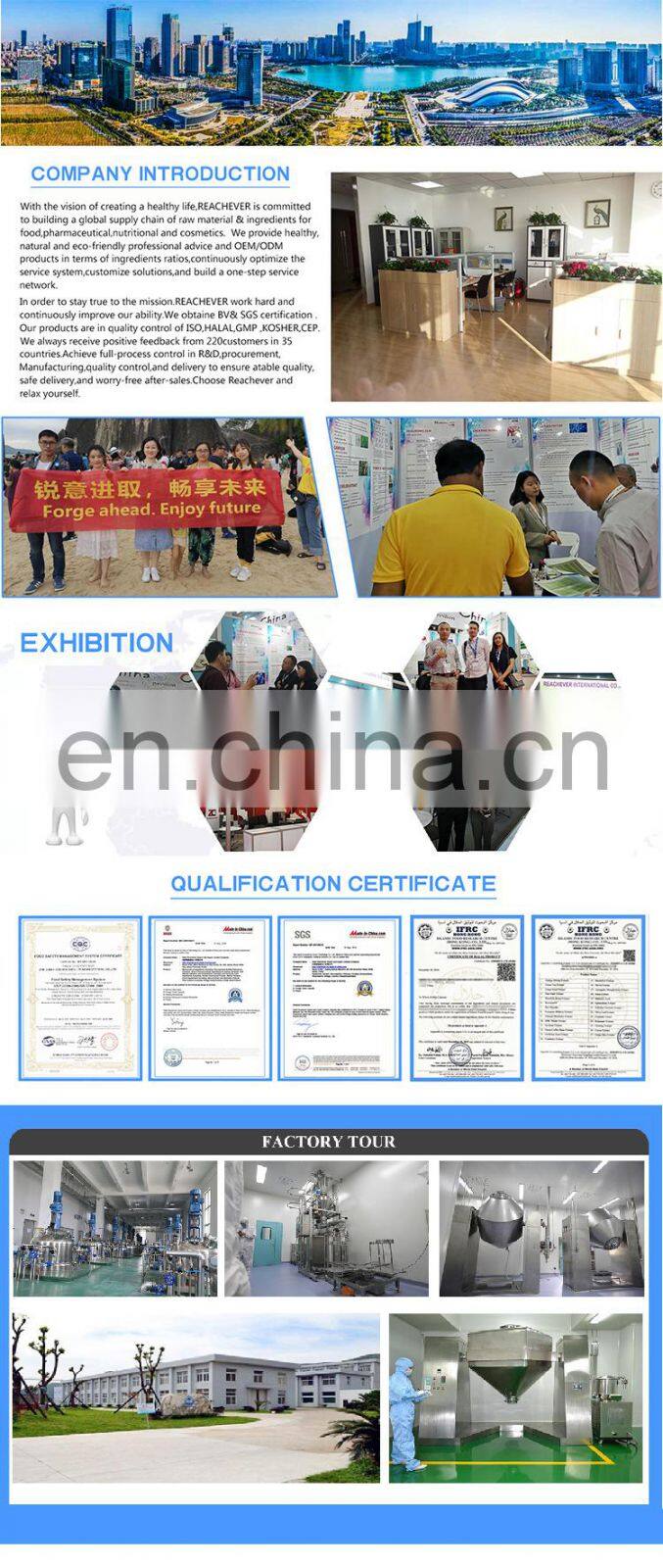 Factory Supply OEM Plastic Mini Mist Sprayer 24/410 Spray Pump Fine Mist Sprayers