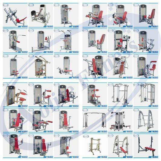 Commercial Fitness Machine/Plate Loaded /Biceps exercise machine