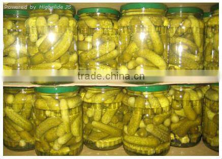 High quality Cucumbers in brine