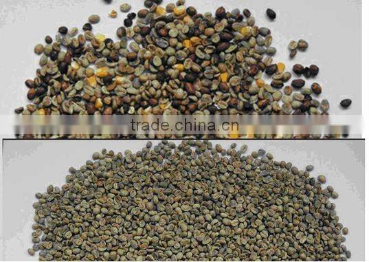 Coffee bean color sorting machine Coffee Bean Sorting Machines