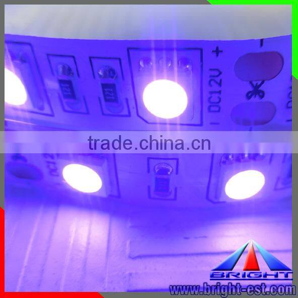 Hottest smd5050/SMD3528 outdoor CE&RoHS waterproof 400-405nm uv flexible led strip light