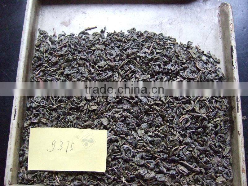 Brewing China green tea gunpowder 9375 zhejiang tea stock 2013