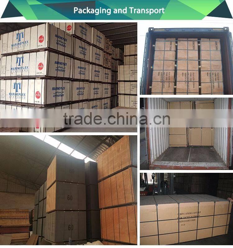 Hardwood Brich reusable Concrete Formwork Plywood