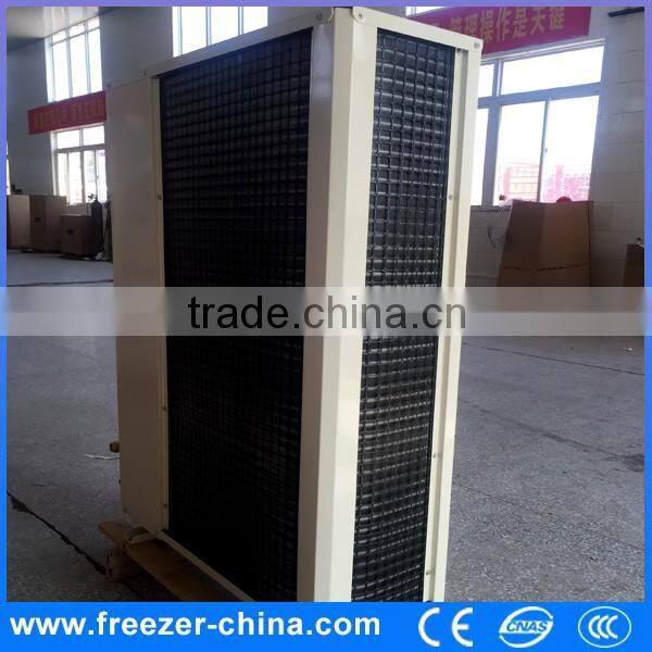 Refrigerator Compressor for Supermarket Refrigerator/Cold Rooms
