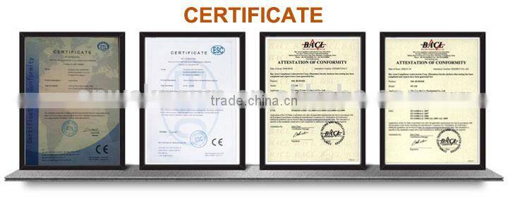 Hydraulic Two Post Car Lift for Auto Garage