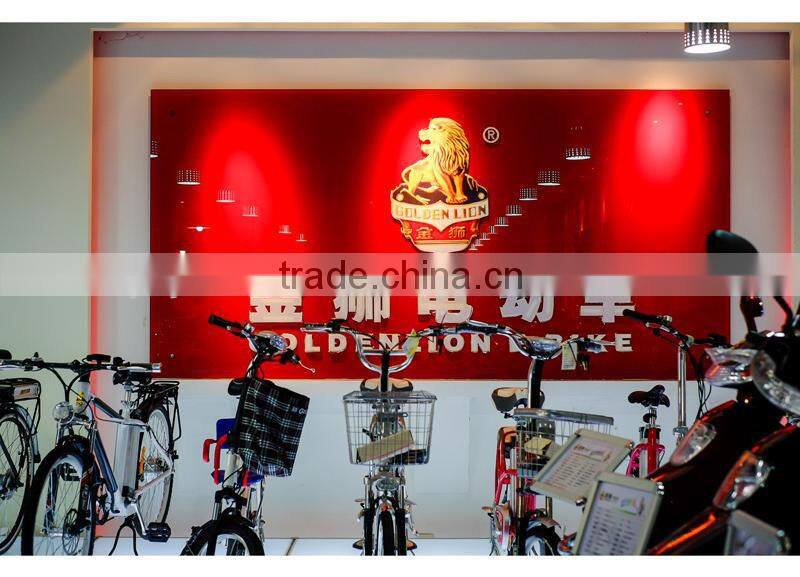 city bike lithium 36v 250w ebike battery