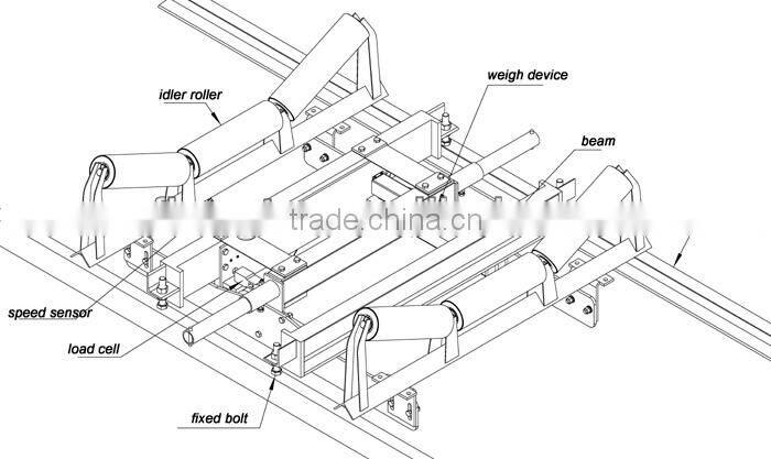 Electronic conveyor digital weighing scale-manufacturer