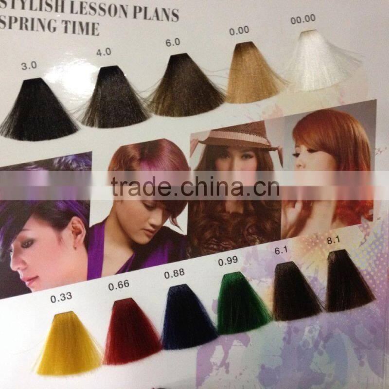 Hot brands non allergic professional permanent vogue hair dye