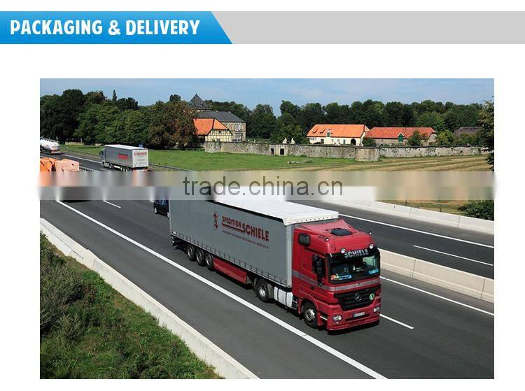 self balancing electric bike used by lots of people