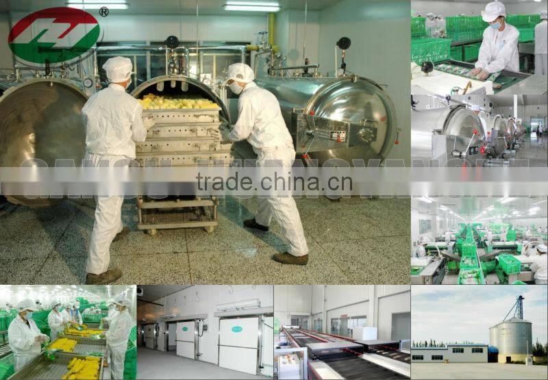 Cooked Vacuum Sweet Corn Snack