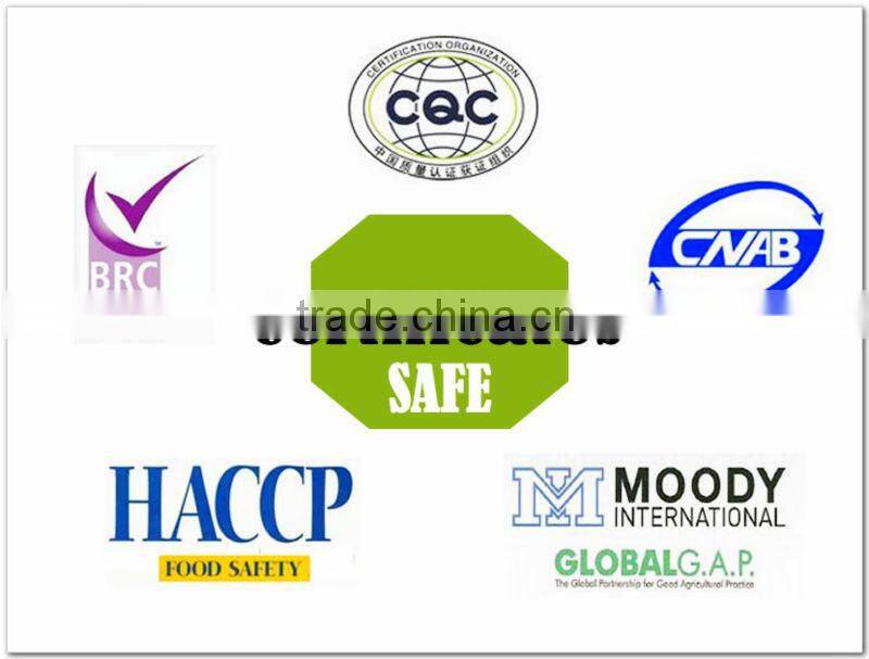 IQF Frozen sliced green onion spring onion