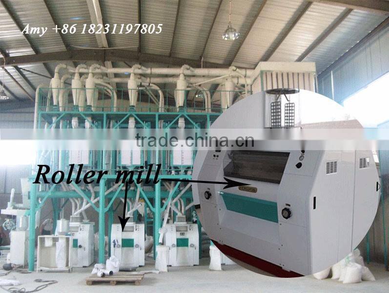Corn maize flour complete processing milling machine line