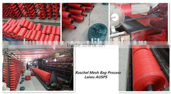 PE raschel mesh bag for packing vegetables