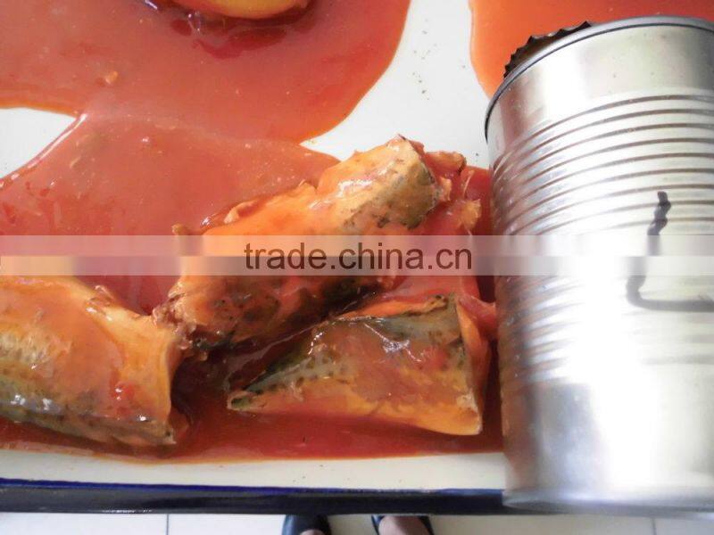 Canned mackerel Fish