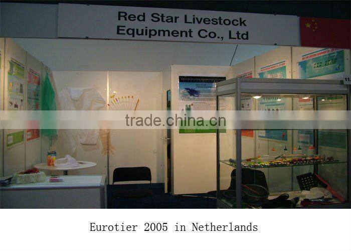 Middle Size Nitrile Gloves