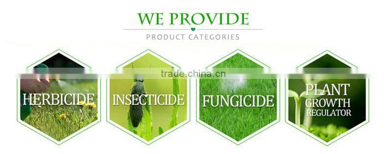 Roundup Glyphosate 480g/l IPA Salt SL