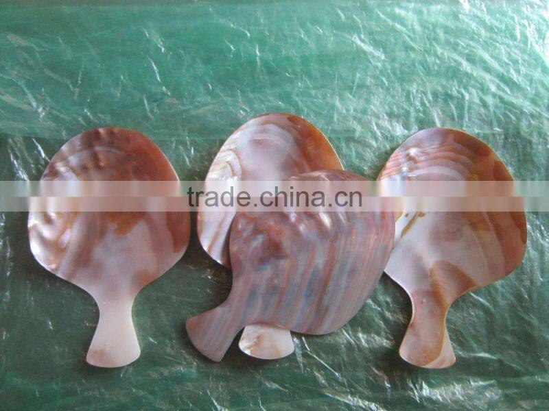 High quality spoon, spoon safe for food, spoon made from natural seashell