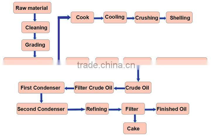 small scale standard palm oil refinery in malaysia