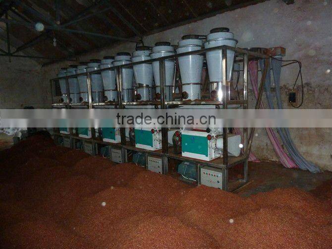 Chilli powder complete plant