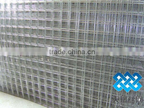 2x2 galvanized welded wire mesh for fence panel