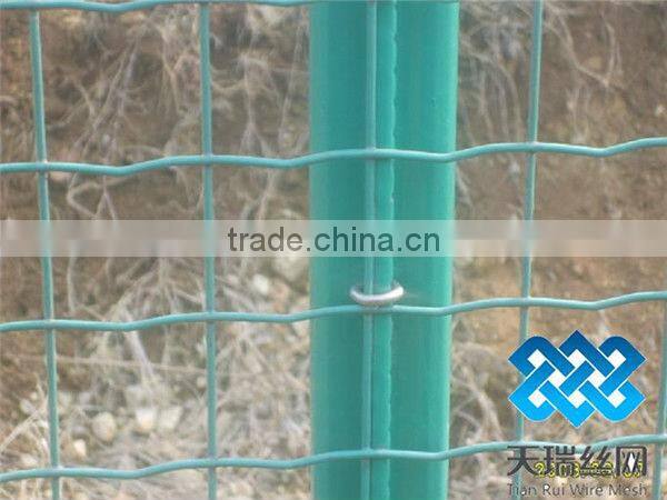 Metal Euro Fencing