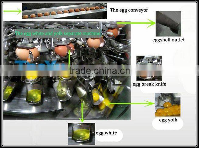 Durable stainless steel eggs breaking and yolk & white separate machine price (SMS: 0086-15937167907)