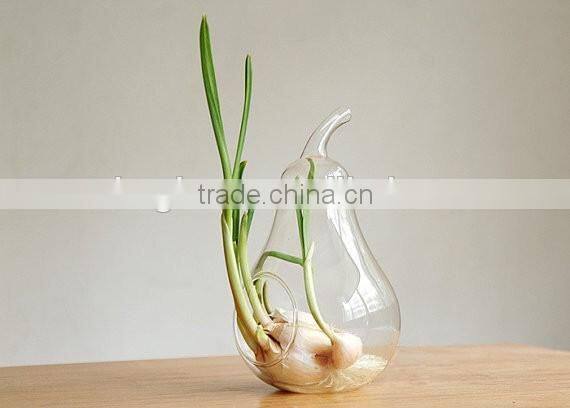 Apple and pear shaped glass vase / clean glass vase / glass vase