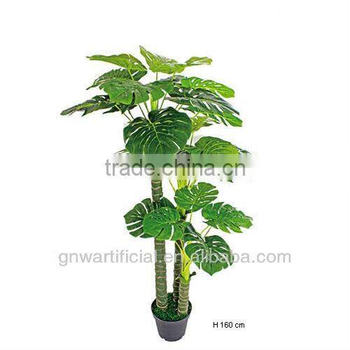 GNW G85 tropical tree plant larger pot home decoration hot sell