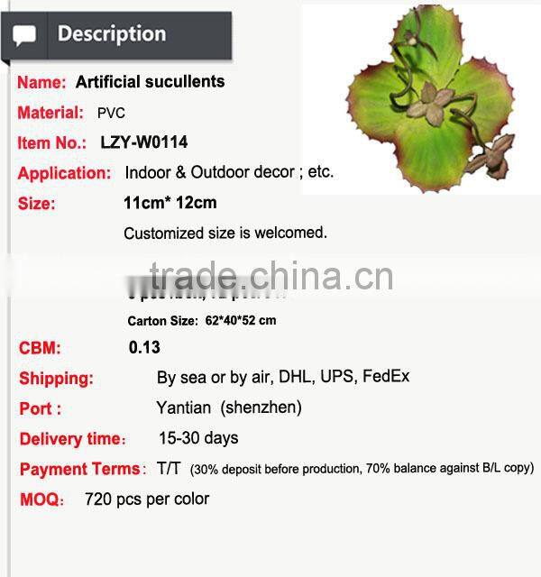 Succulent plants potted succulent artificial bonsai plant succulent