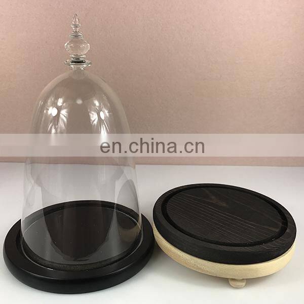 Glass Display Cloche Bell Jar Dome Flower Immortal Preservation Vase Wooden Base