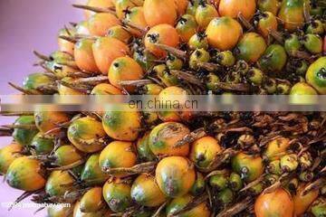 New design semi-automatic screw palm oil press machine/ Competitive price palm oil machine