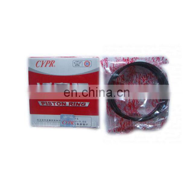 FAYN brand piston ring