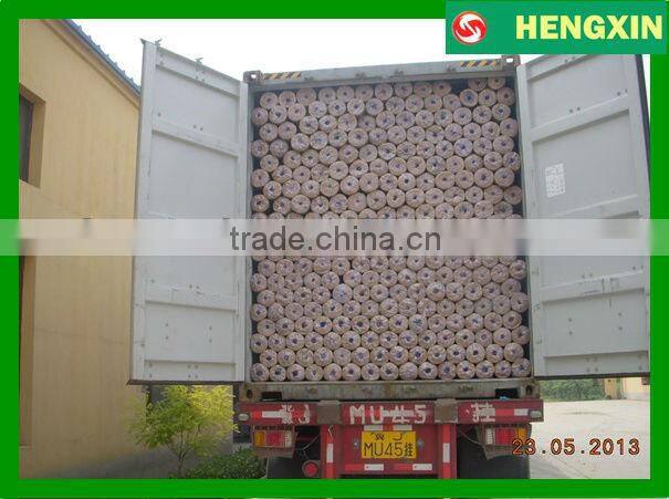 Heavy guage galvanized welded wire mesh