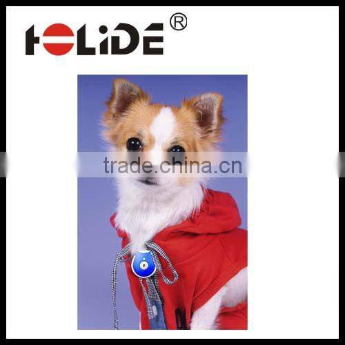 Novelly pet digital camera with Self Timer DC30H1