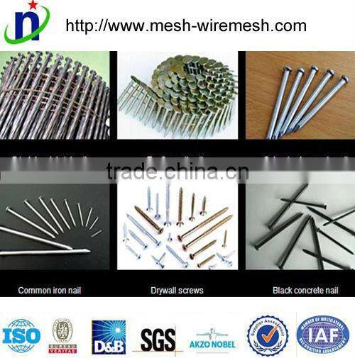 Best quality 2" Common Nails,square boat nails