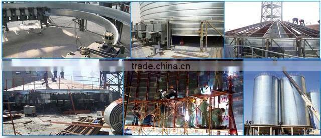 SRON Brand Small Fly Ash Silo for Sale Used for Electrical Power Station