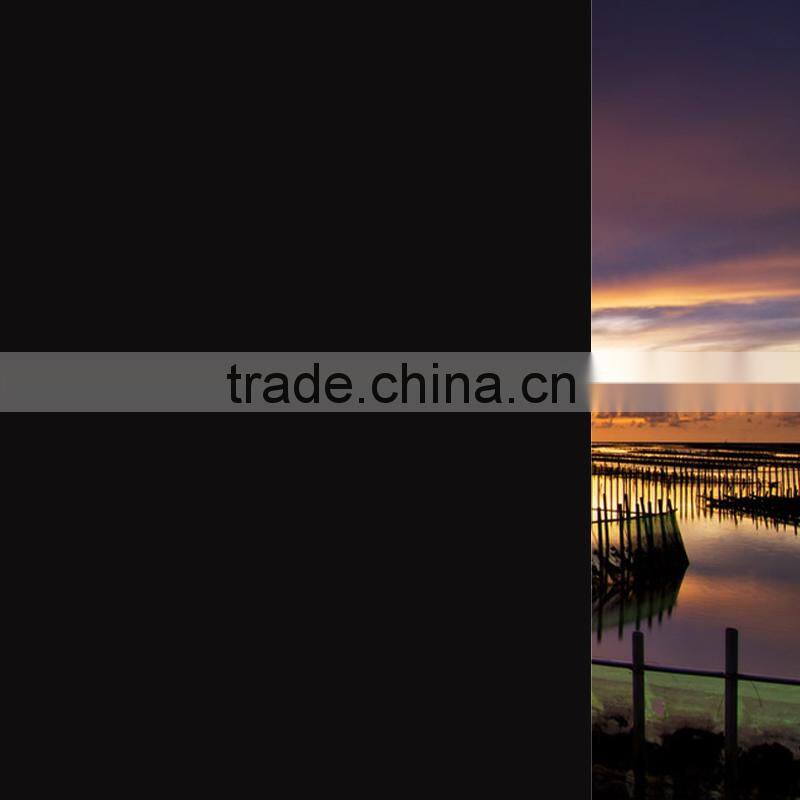 Factory supply hot sale adhesive black static window film