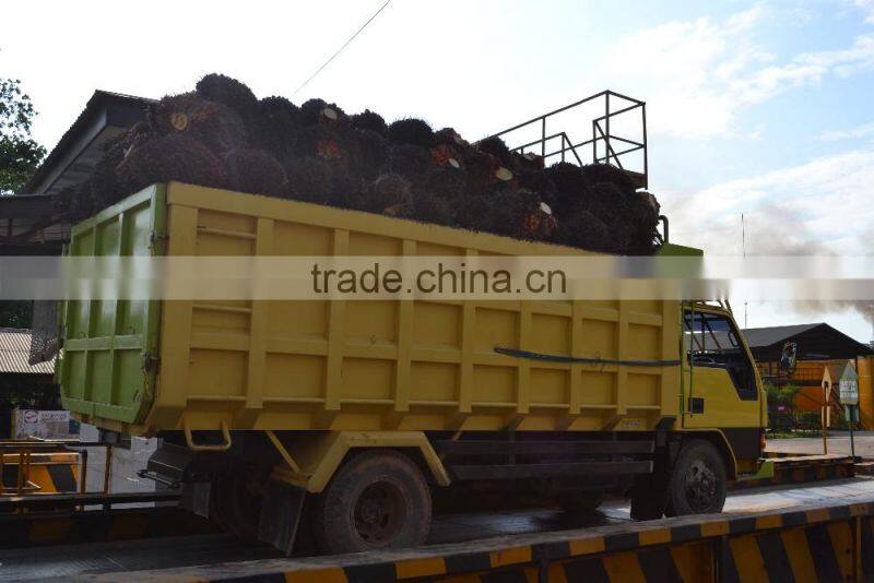 Turn key project palm oil precessing line, automatic palm oil extraction machine 10tpd 20tpd