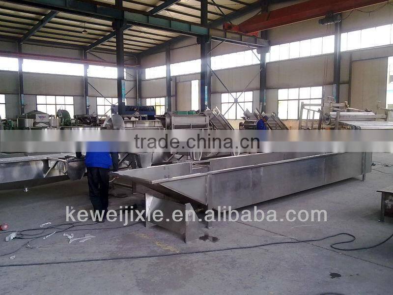 10 tons Pineapple production line