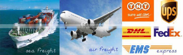 Arabic Language speaking story dolls with IC Intelligent fashion doll alibaba in dubai