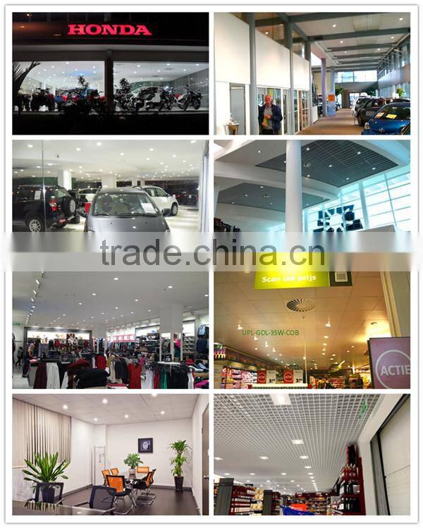 anti-glare 2x30W CITIZEN COB LED Grille down light